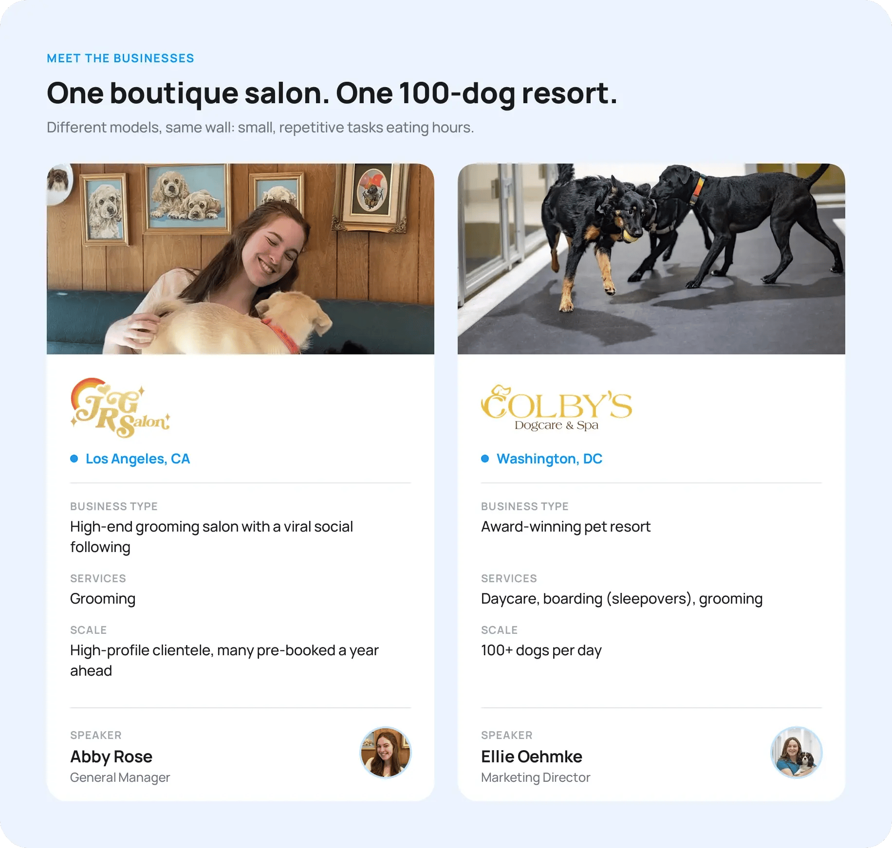 01-business-profiles (1)