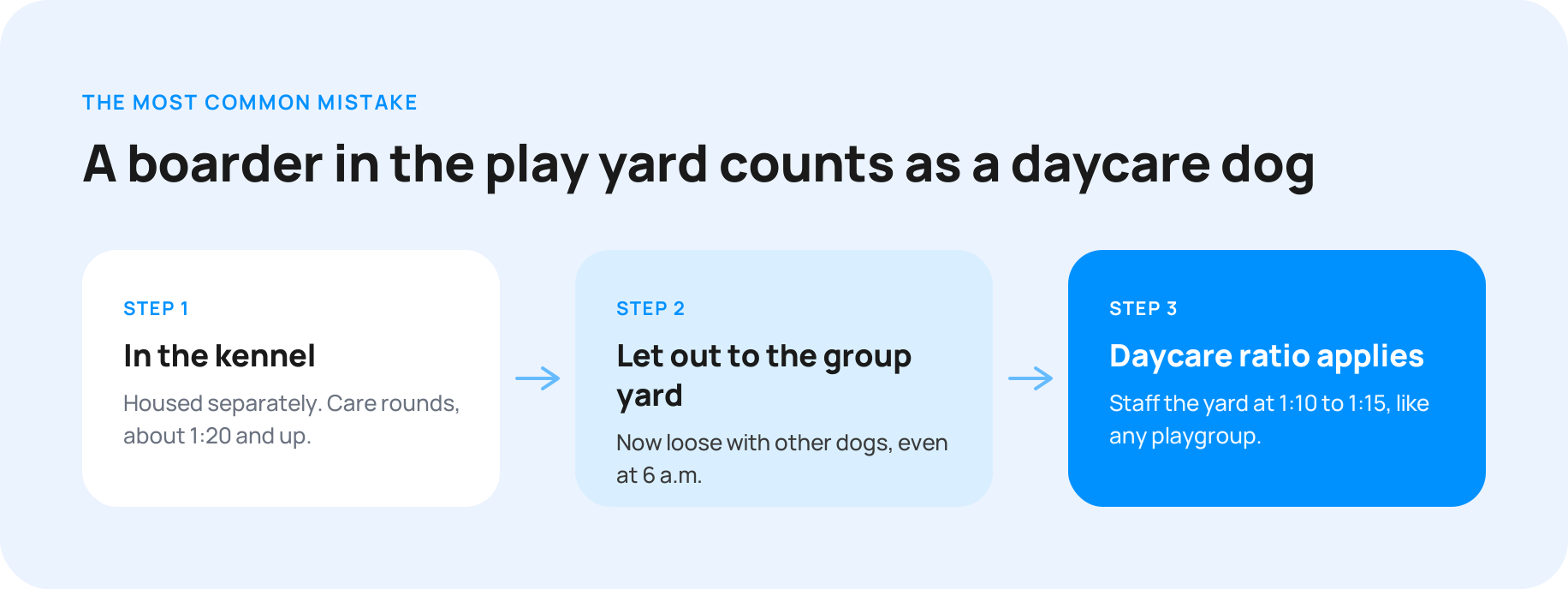 02-boarder-in-the-yard