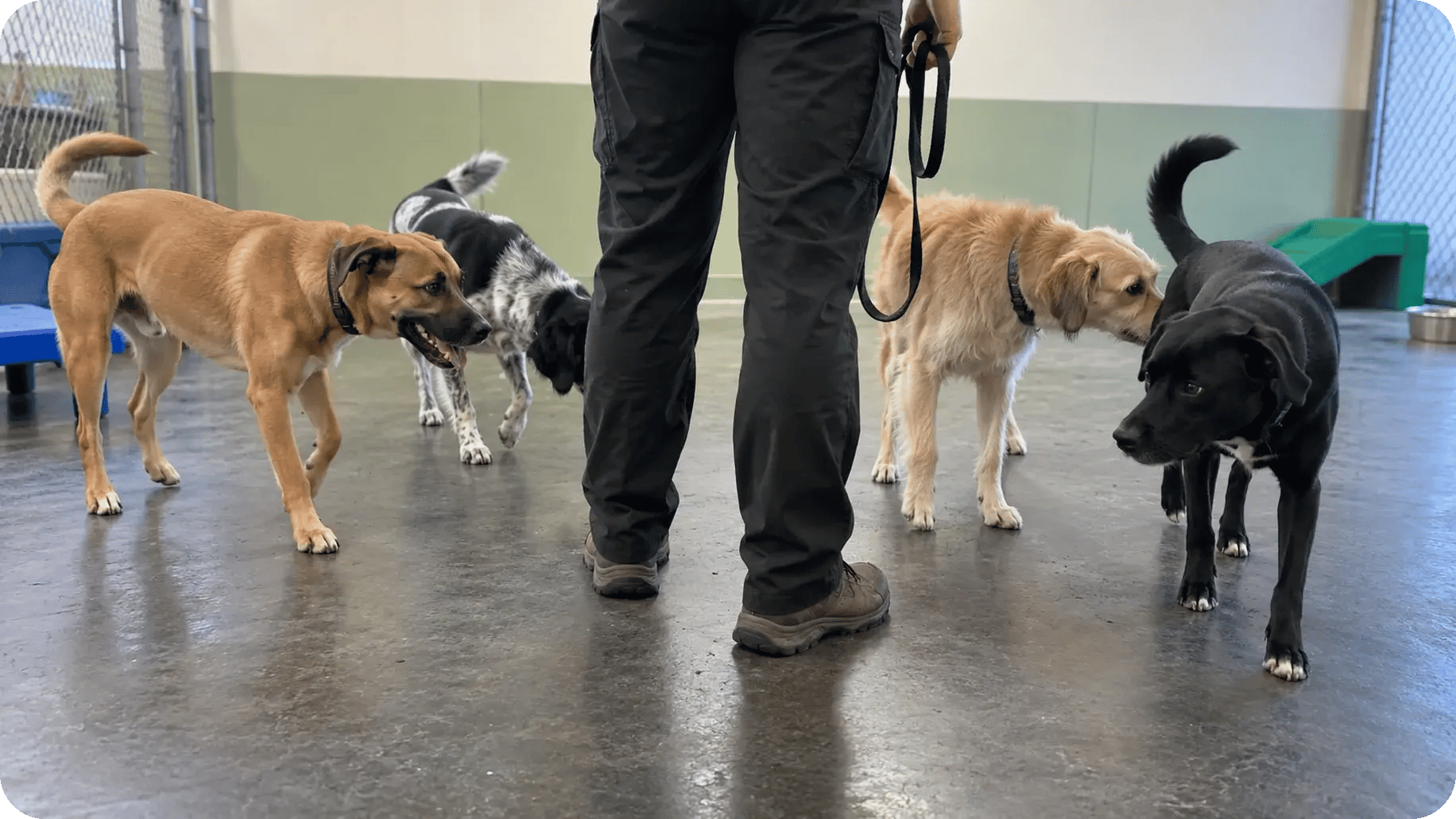 07b-photo-supervised-playgroup