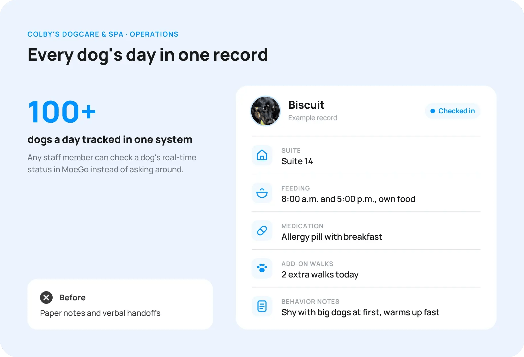 08-one-record-per-dog (2)