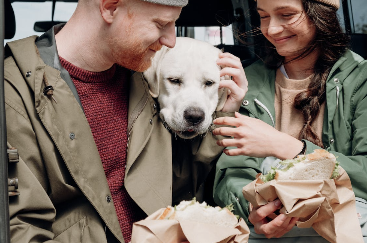  Couple enjoying sandwiches with their Labrador retriever during an outdoor picnic.
