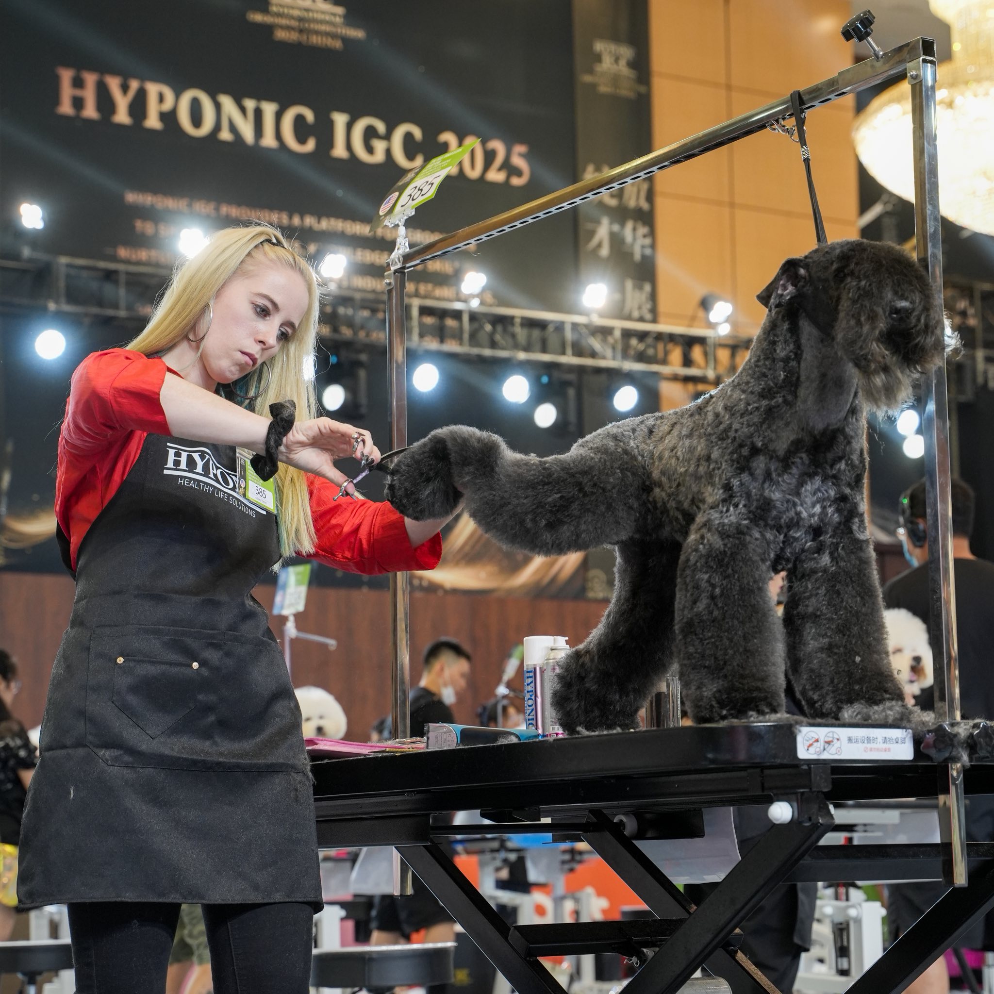 Why Software is Important for the Solo Groomer
