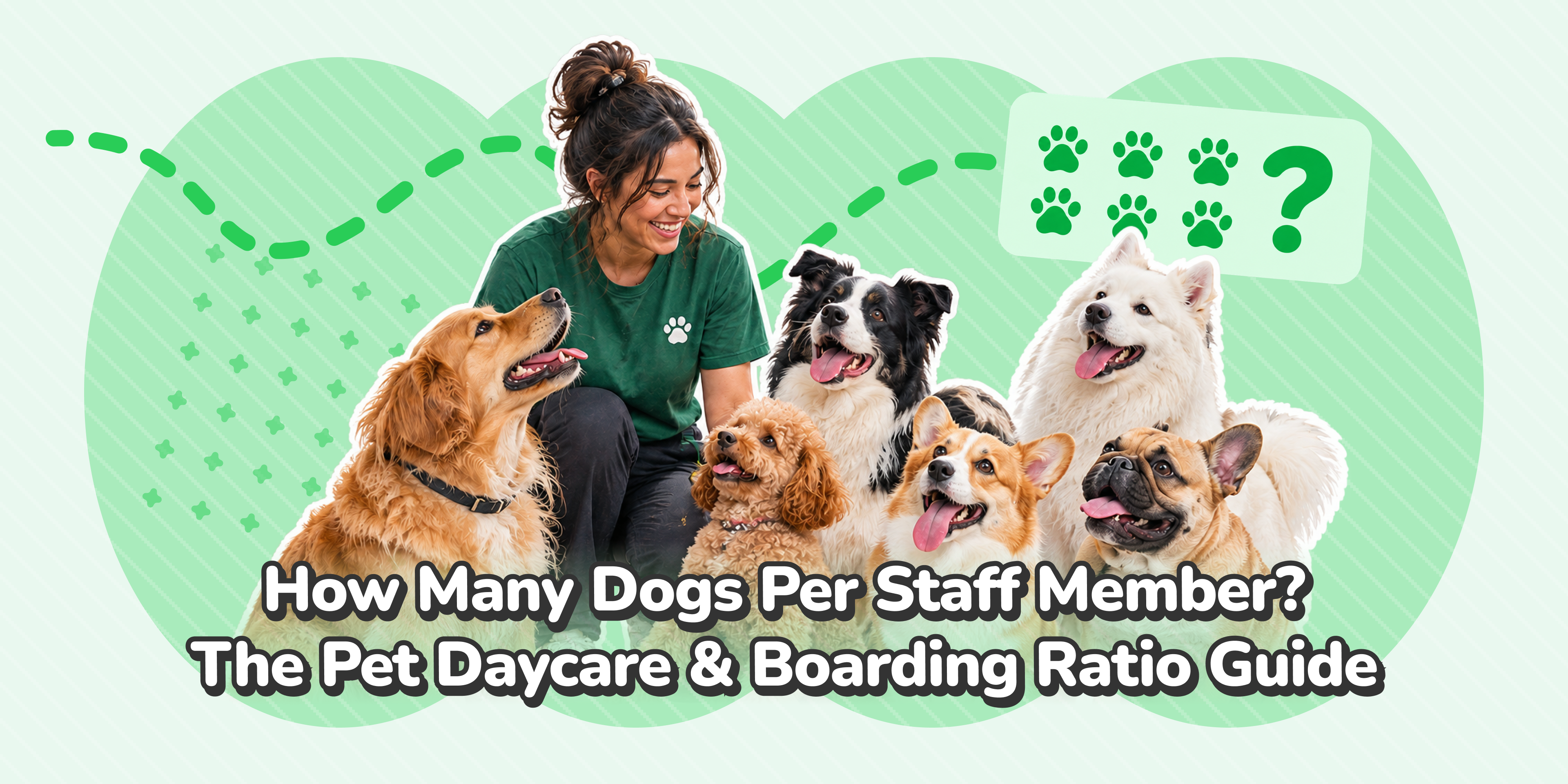 How Many Dogs Per Staff Member_ The Pet Daycare & Boarding Ratio Guide