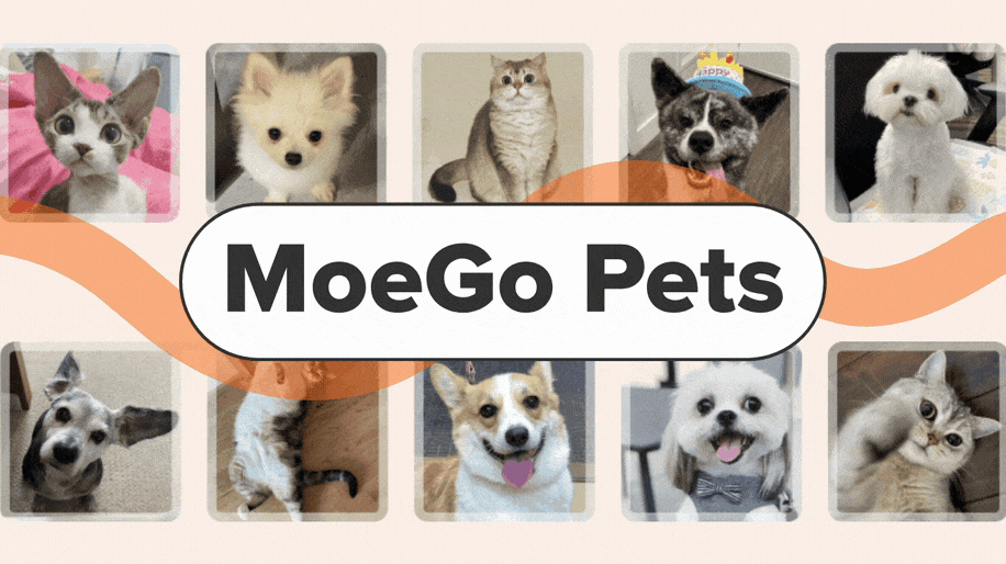 MoeGo_Pets_blog_iteration_2
