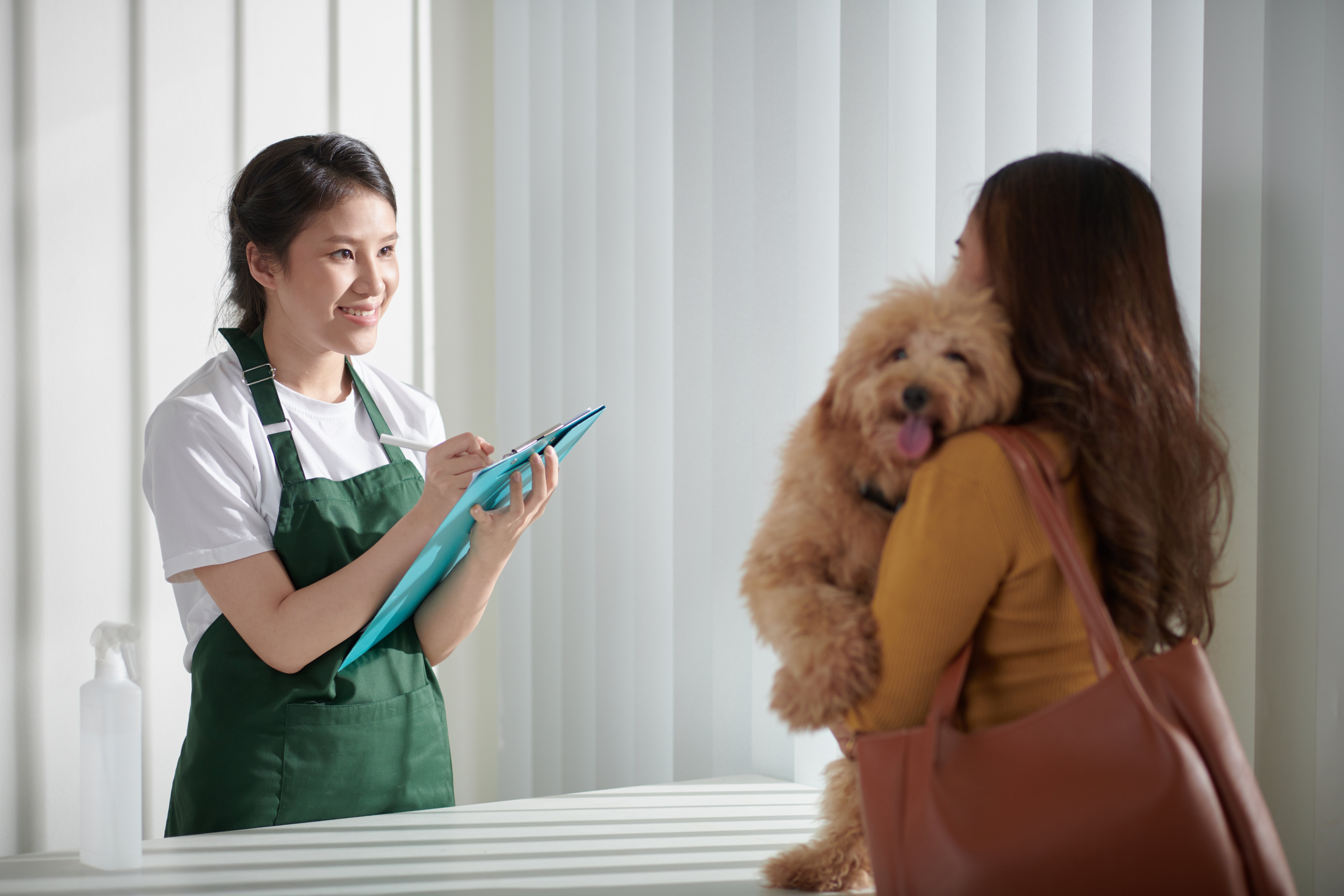 Cheerful female groomer filling form on clipboard when talking to small dog owner
