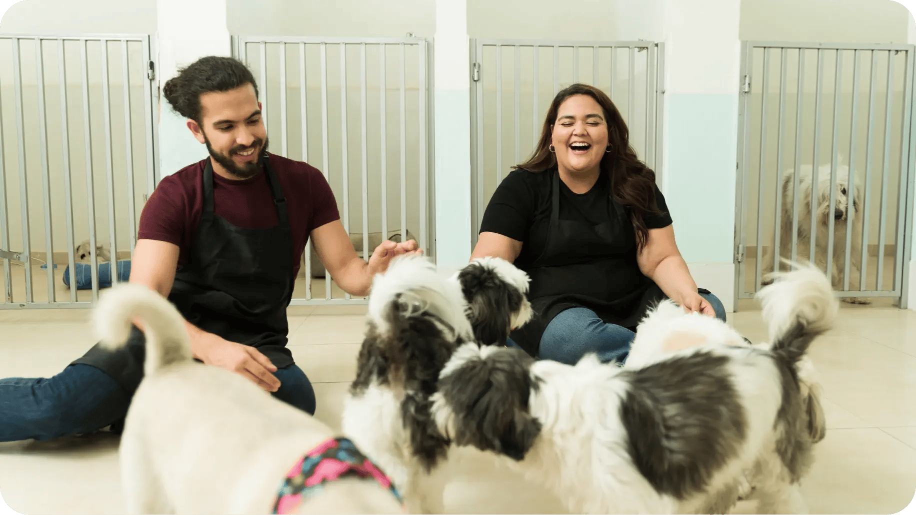 PetCare_general