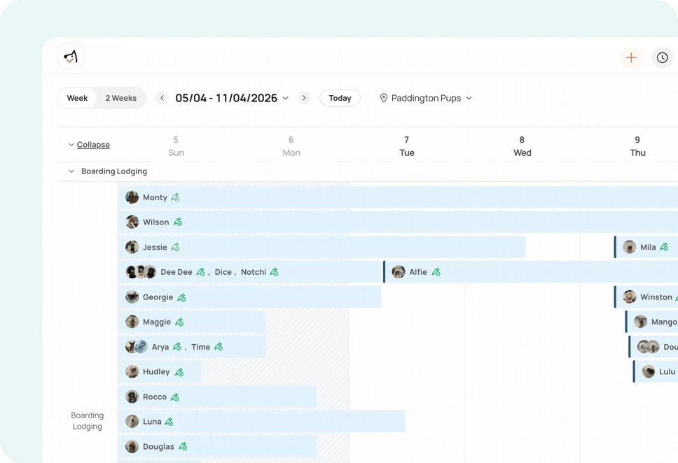 bd_lodge_paddington_pups-2