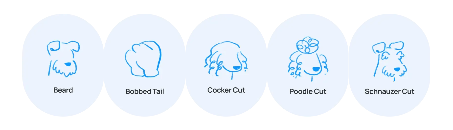 breed specific and professional grooming terms