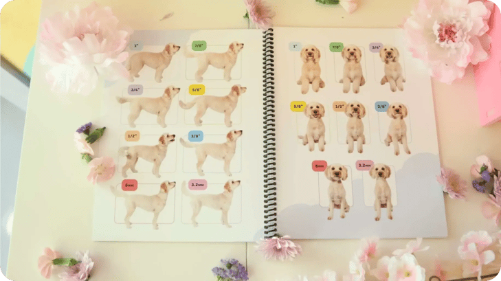 comprehensive visual reference