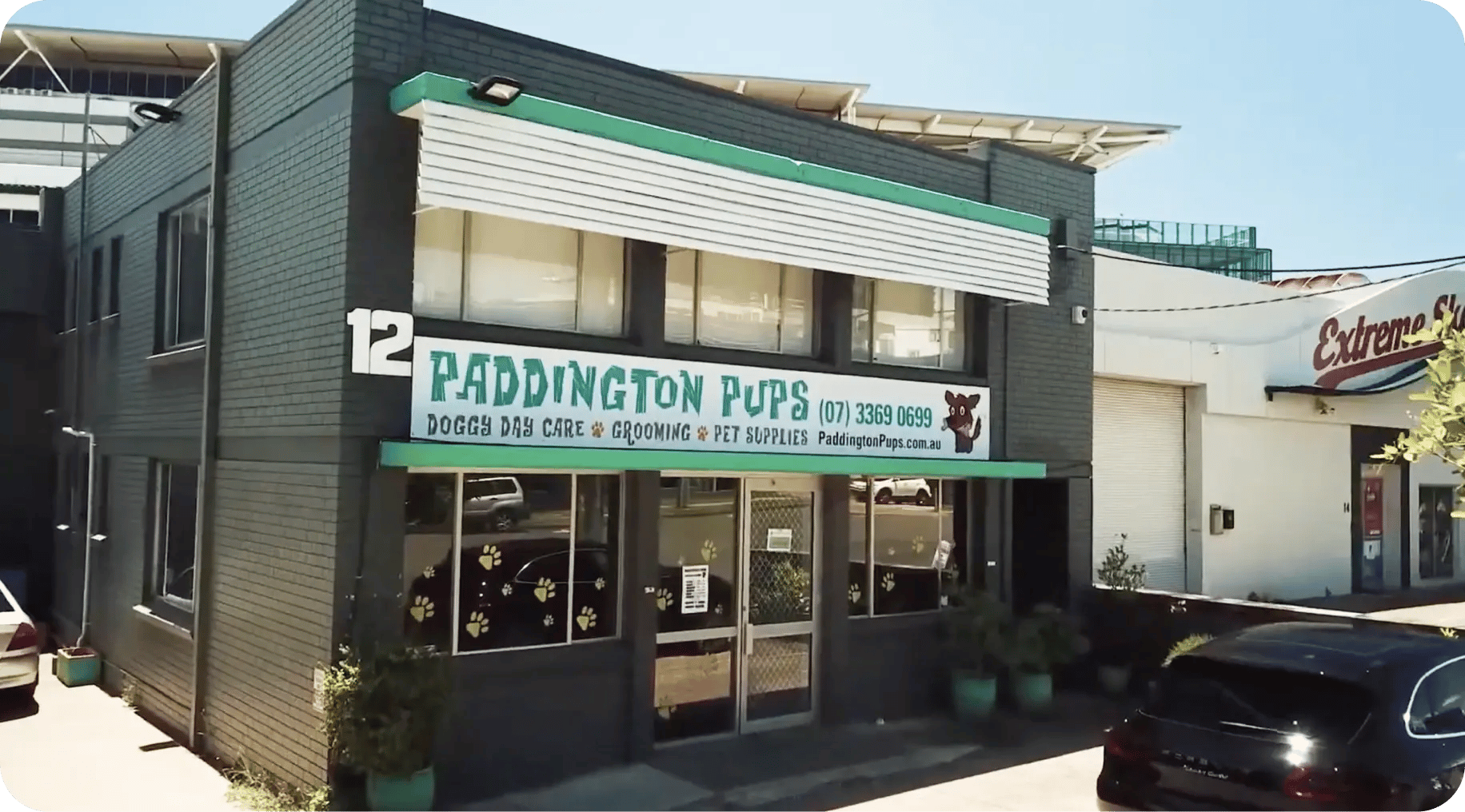 cs_puddinton_pups_store_photo