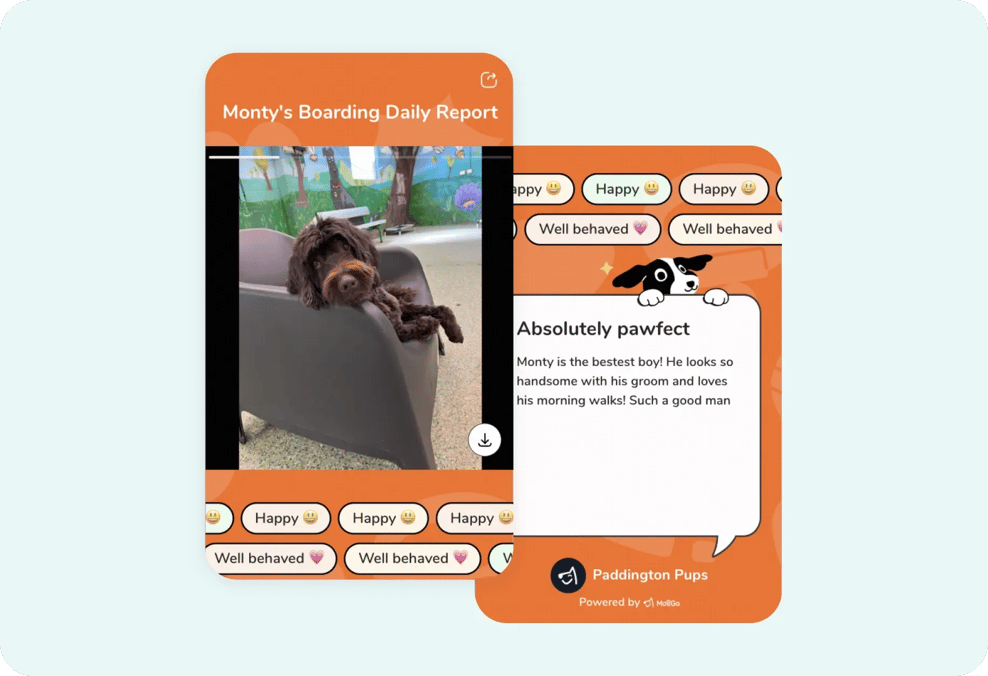 daily_report_cards_paddington_pups-1