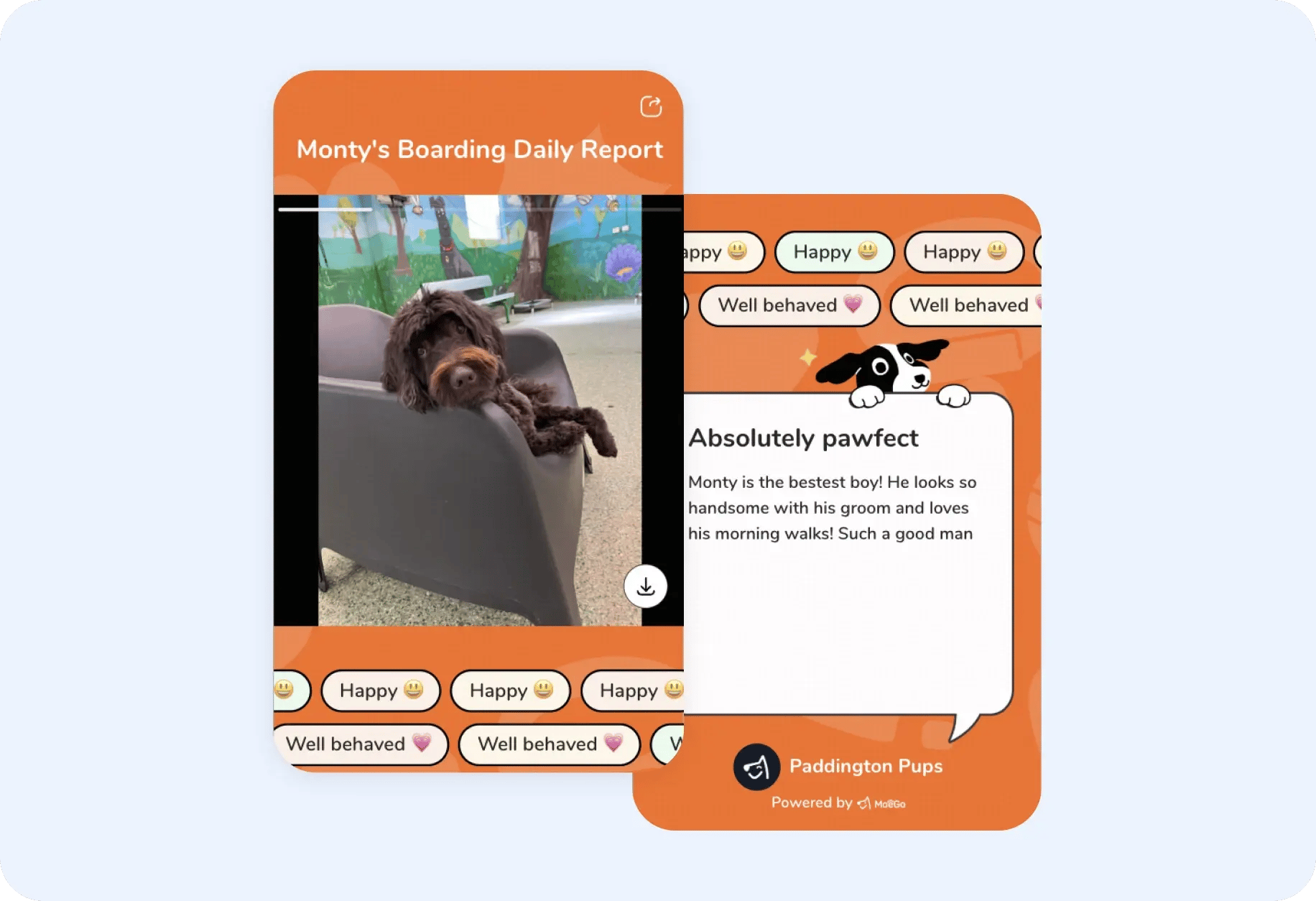 daily_report_cards_paddington_pups-2