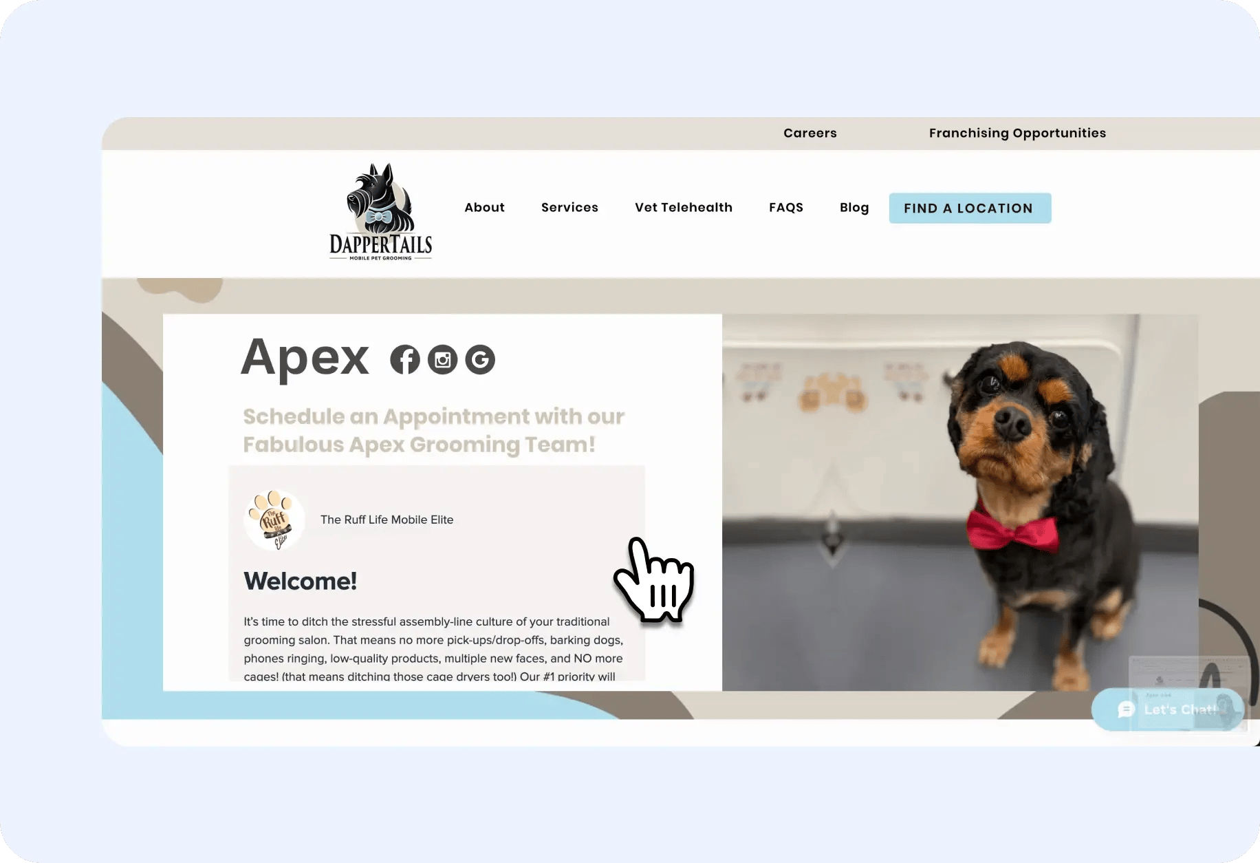 dapper_tails_ob_insert_into_dappertail_s_website