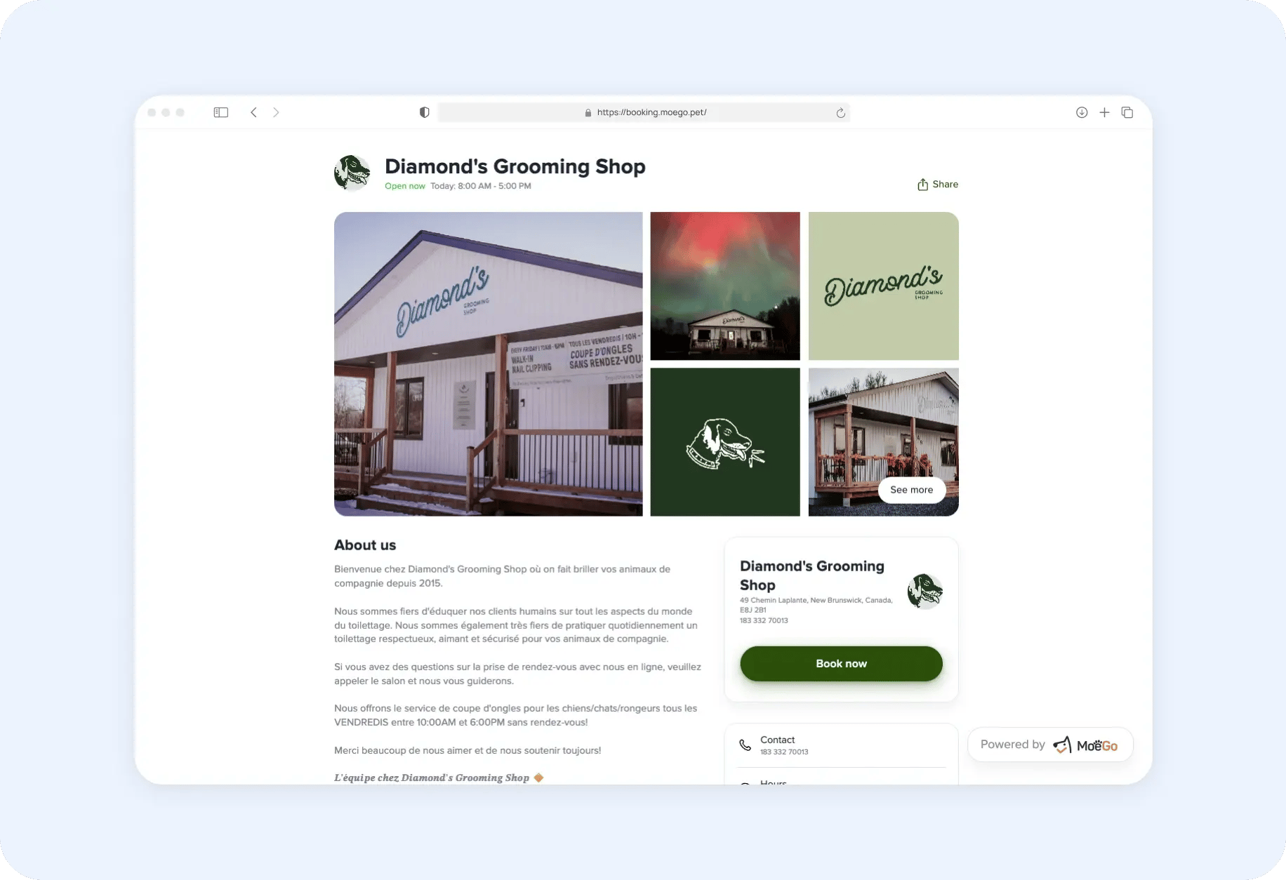 diamond s grooming shop ob