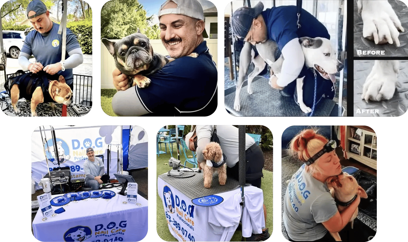 dog owner-1