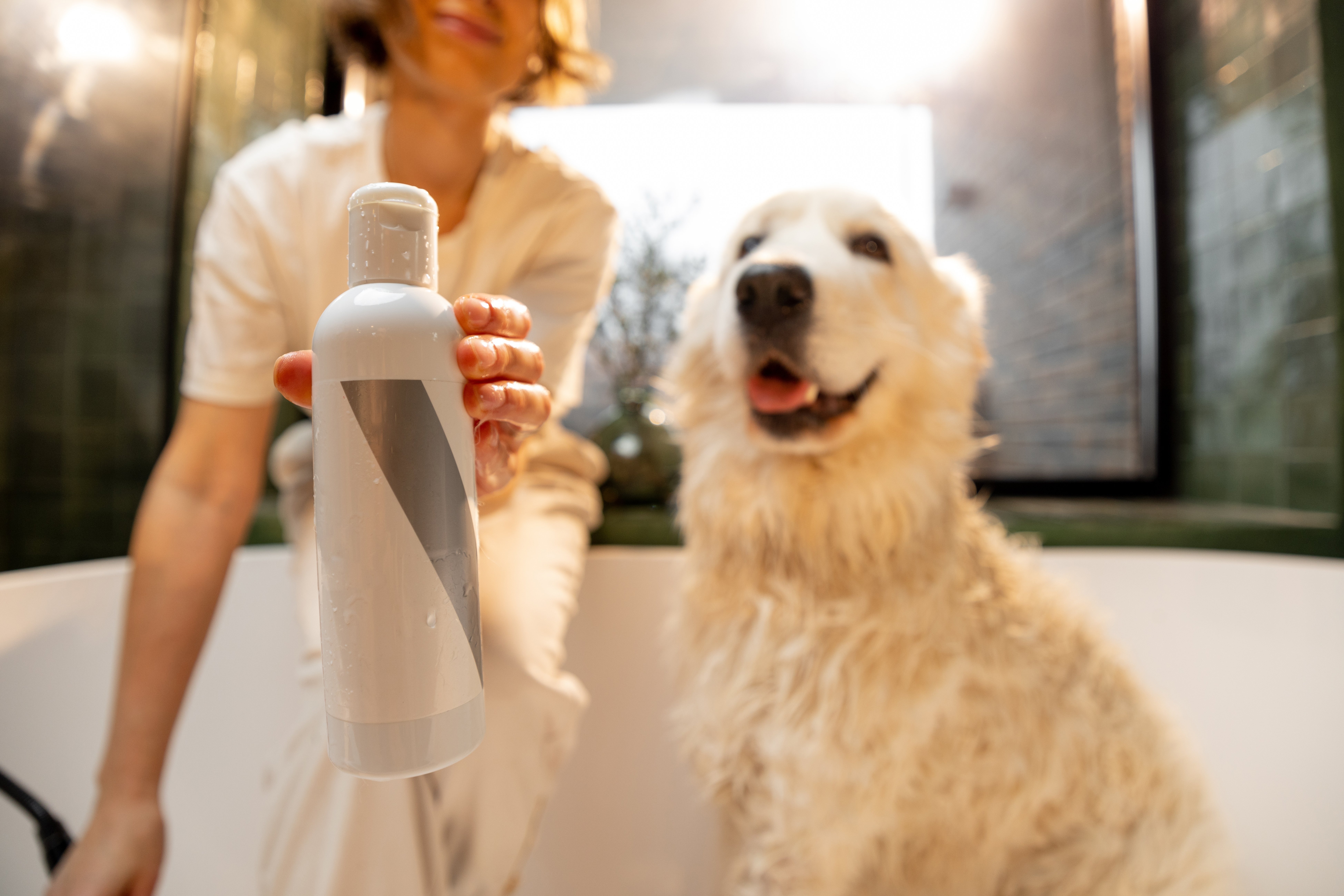 Happy dog takes a bath with her owner in bathtub. Concept of animal care and friendship with pets. Sampoo bottle in front 