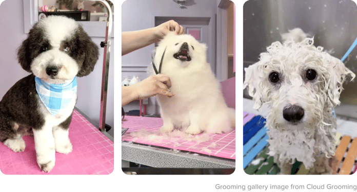 grooming gallery image from cloud grooming