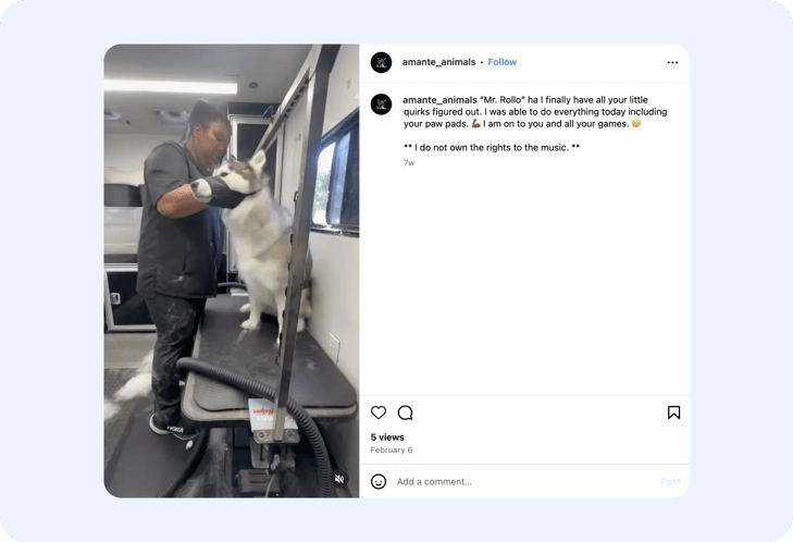 grooming large dogs with proper equipment-1
