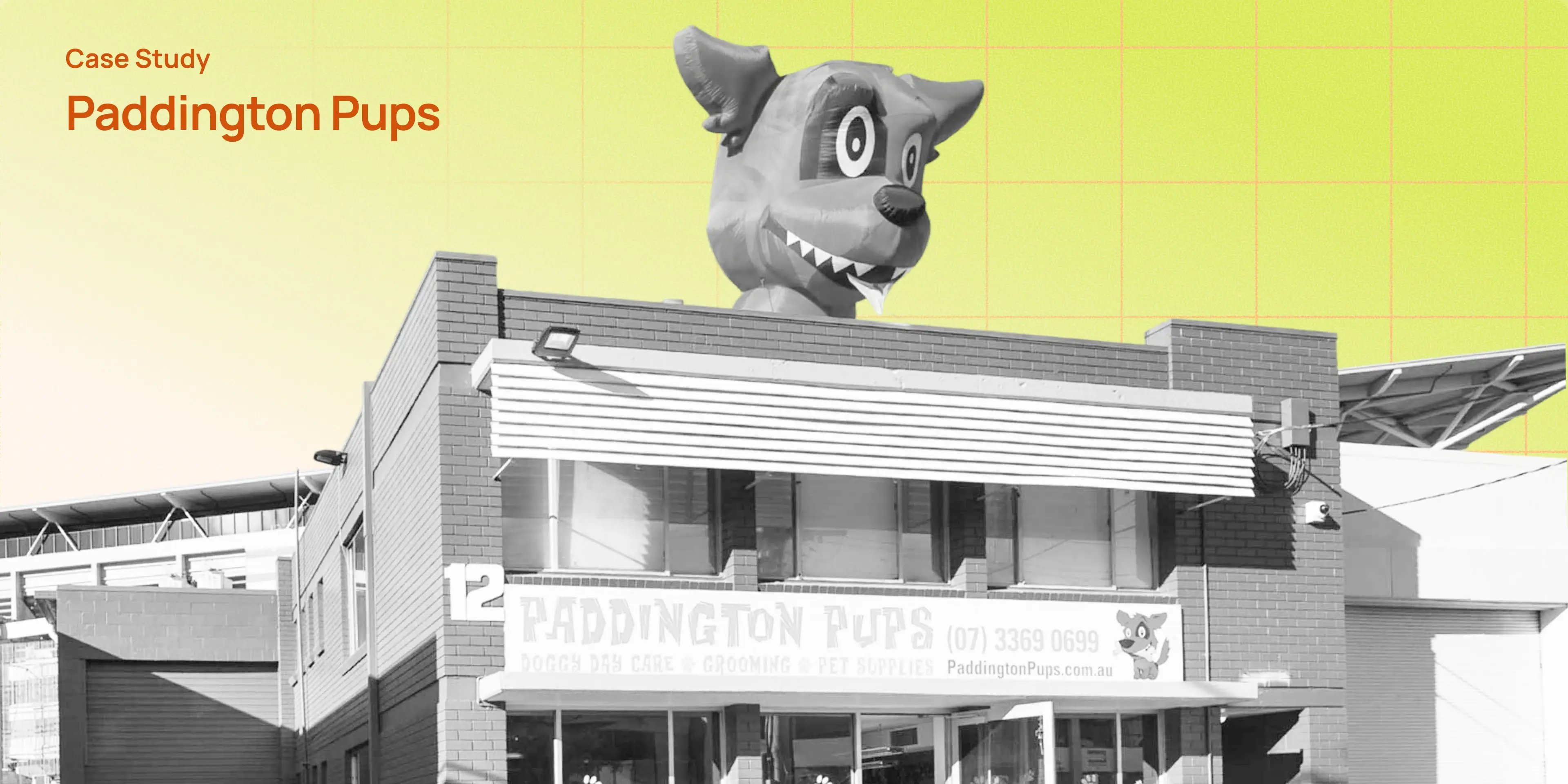 how_paddington_pups_replaced_15_years_of_outdated_software_to_regain_control_across_a_150_dog_operation-1