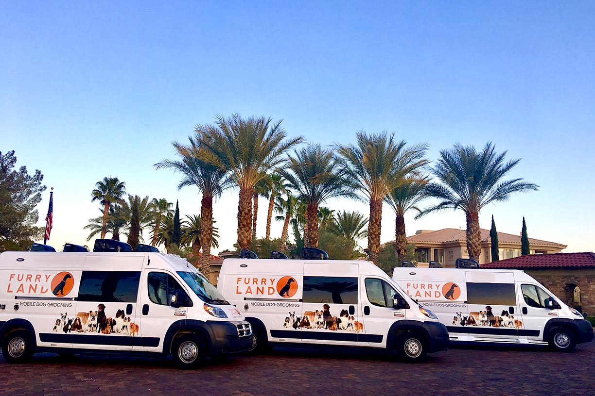 furry land vans