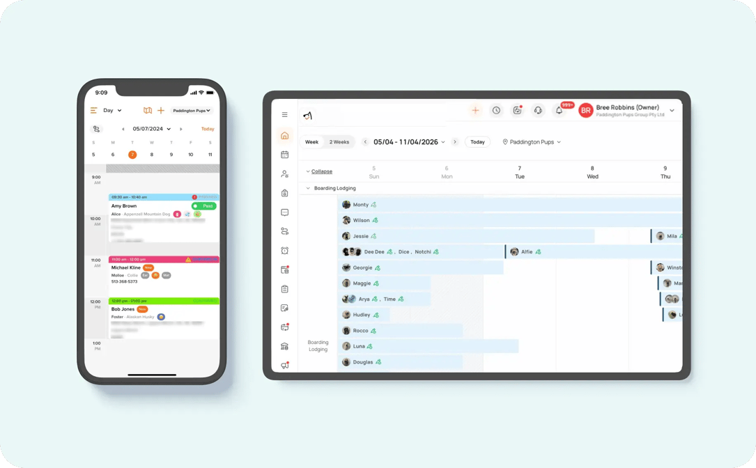 one_unified_platform_paddington_pups-2