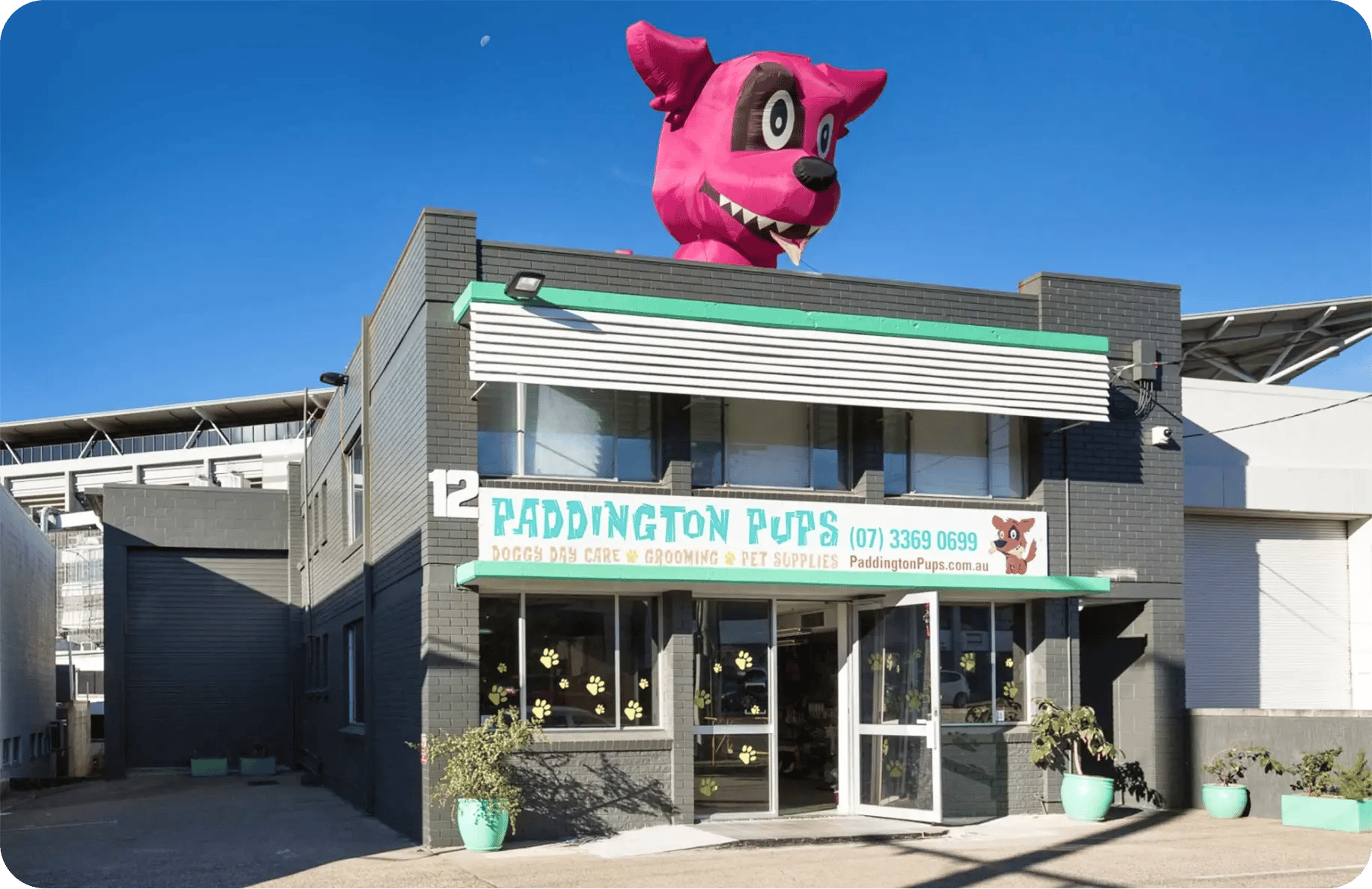 paddington_pups_photo