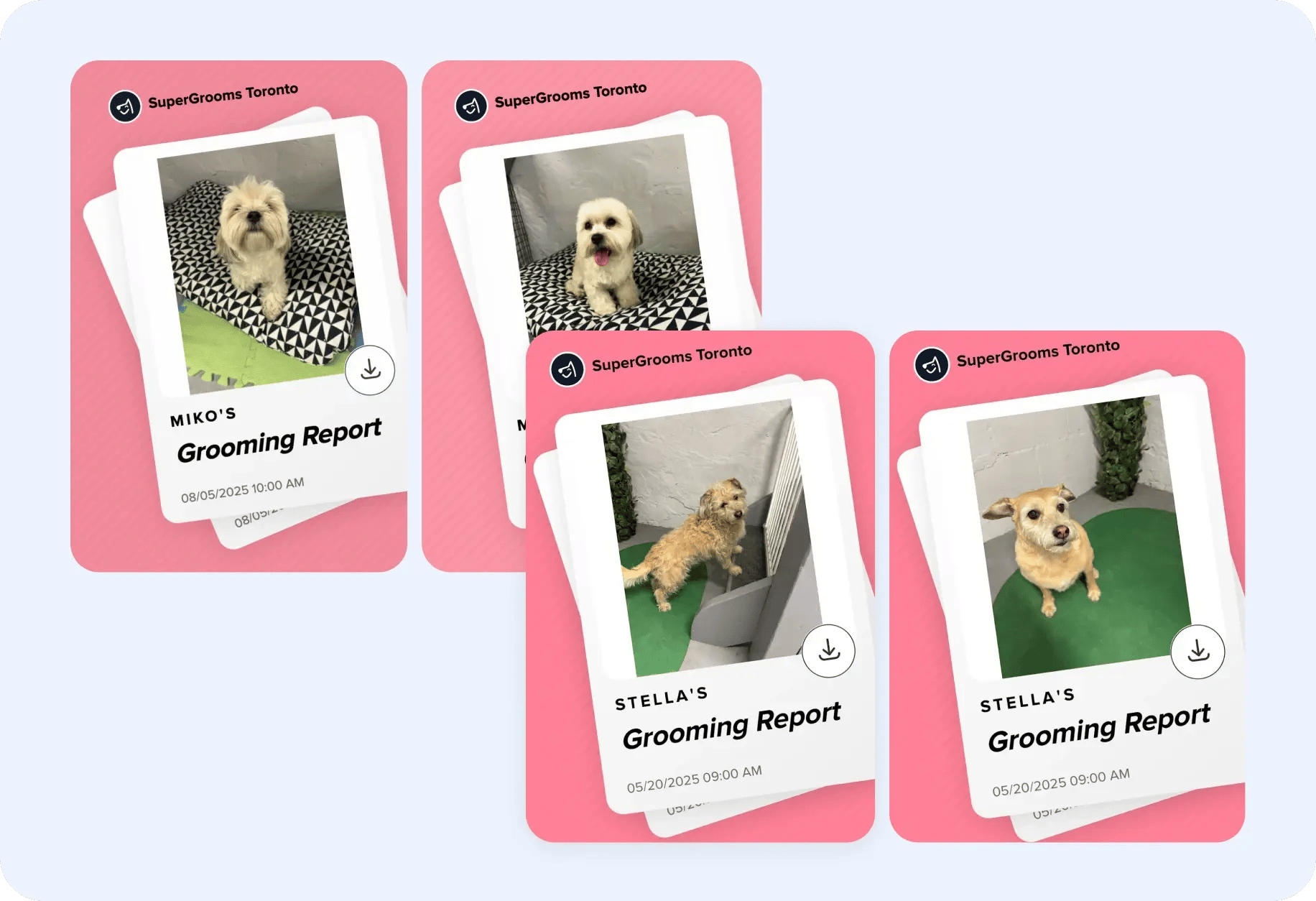 supergrooms_grooming_report