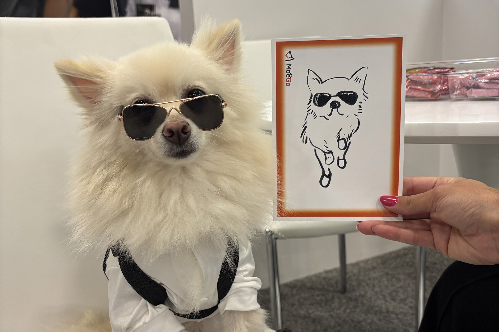 superzoo3