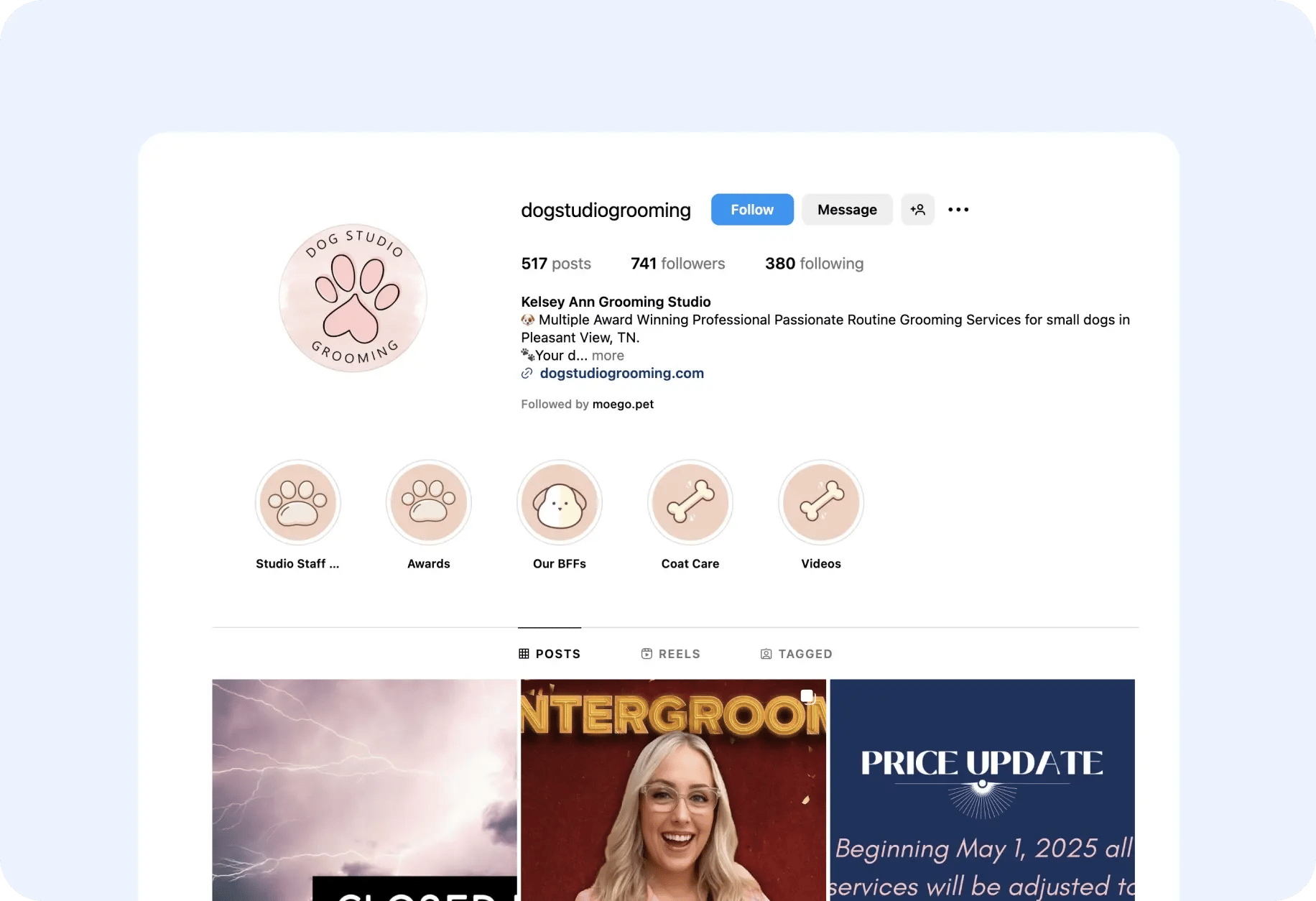 the dog studio instagram