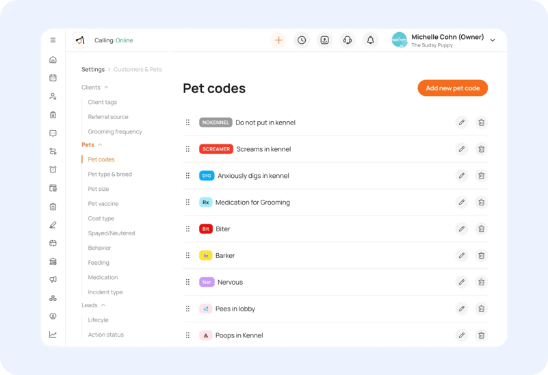 v2_flag_it_fast_using_pet_codes_for_consistent_care