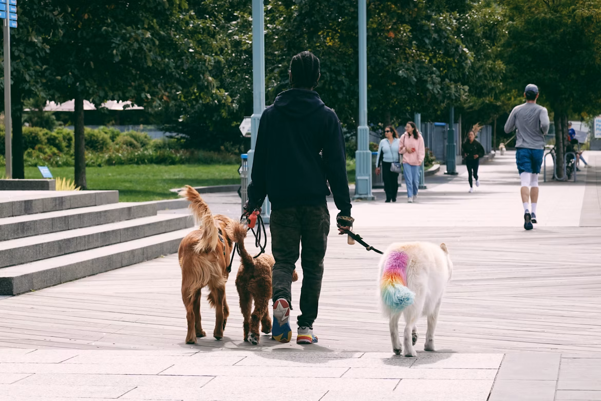 Dog walking business software helps pet care pros spend less time on admin and more time making dogs happy