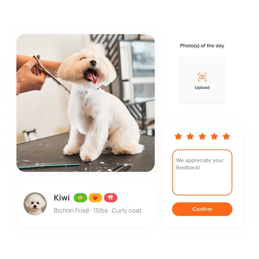 Pet parent experience