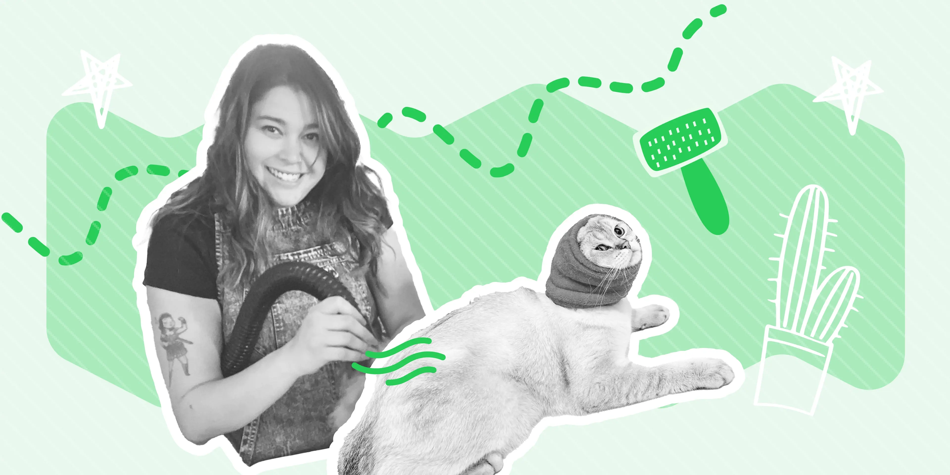 Promotional Banner Of A Woman Grooming A Cat