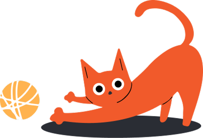 orange cat